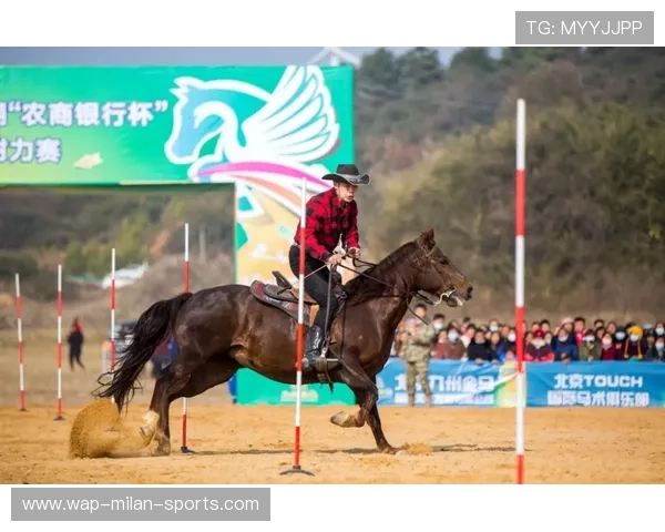 马术耐力赛中骑手与马匹默契称赞为“最佳搭档”
